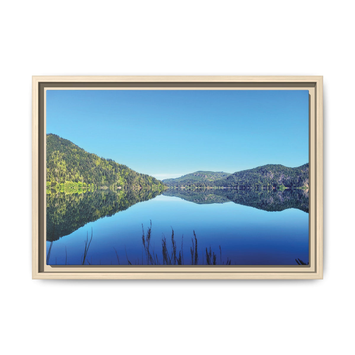Lake Crescent Reflections | Framed Matte Canvas