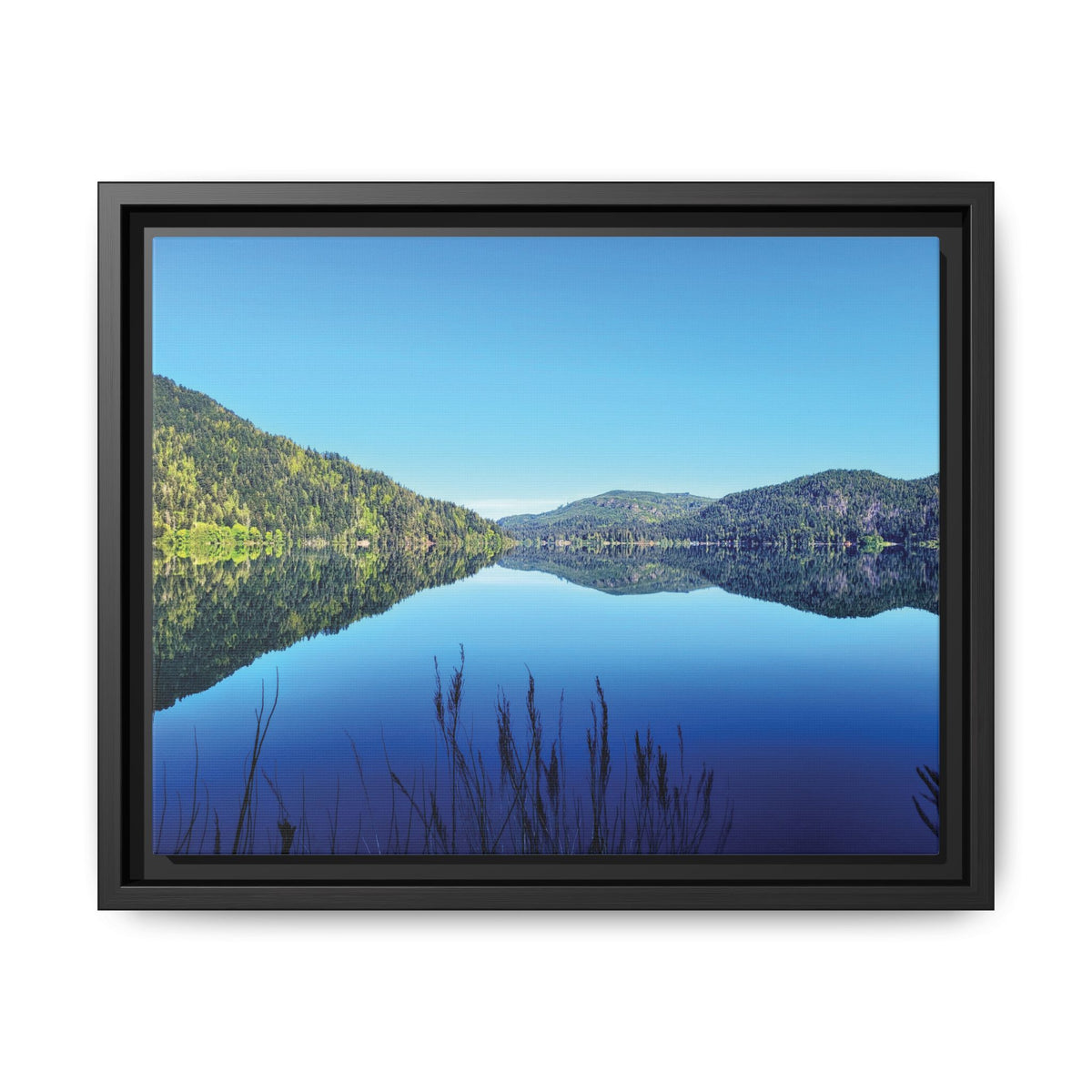 Lake Crescent Reflections | Framed Matte Canvas