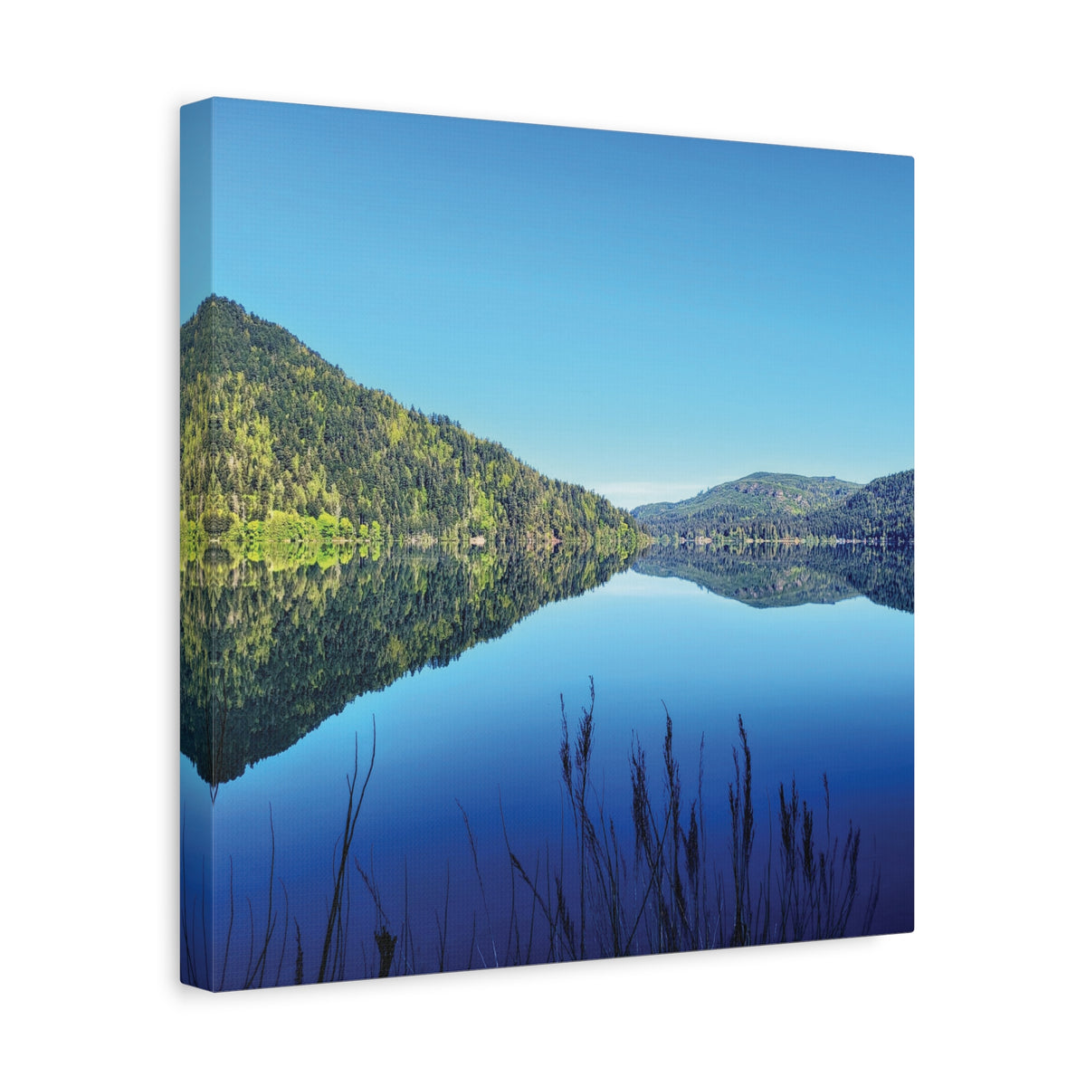 Lake Crescent Reflections | Olympic Peninsula Canvas Print
