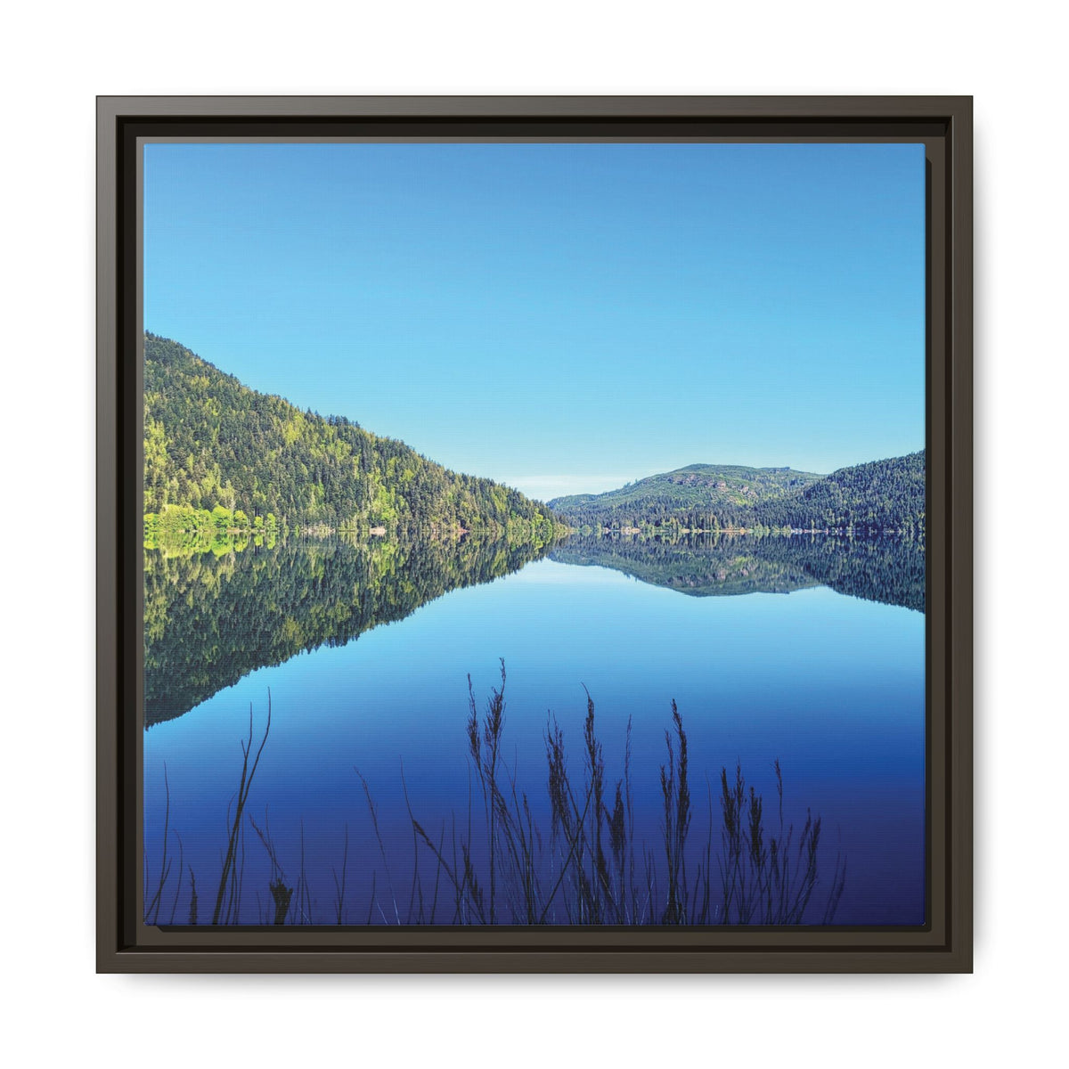 Lake Crescent Reflections | Framed Matte Canvas
