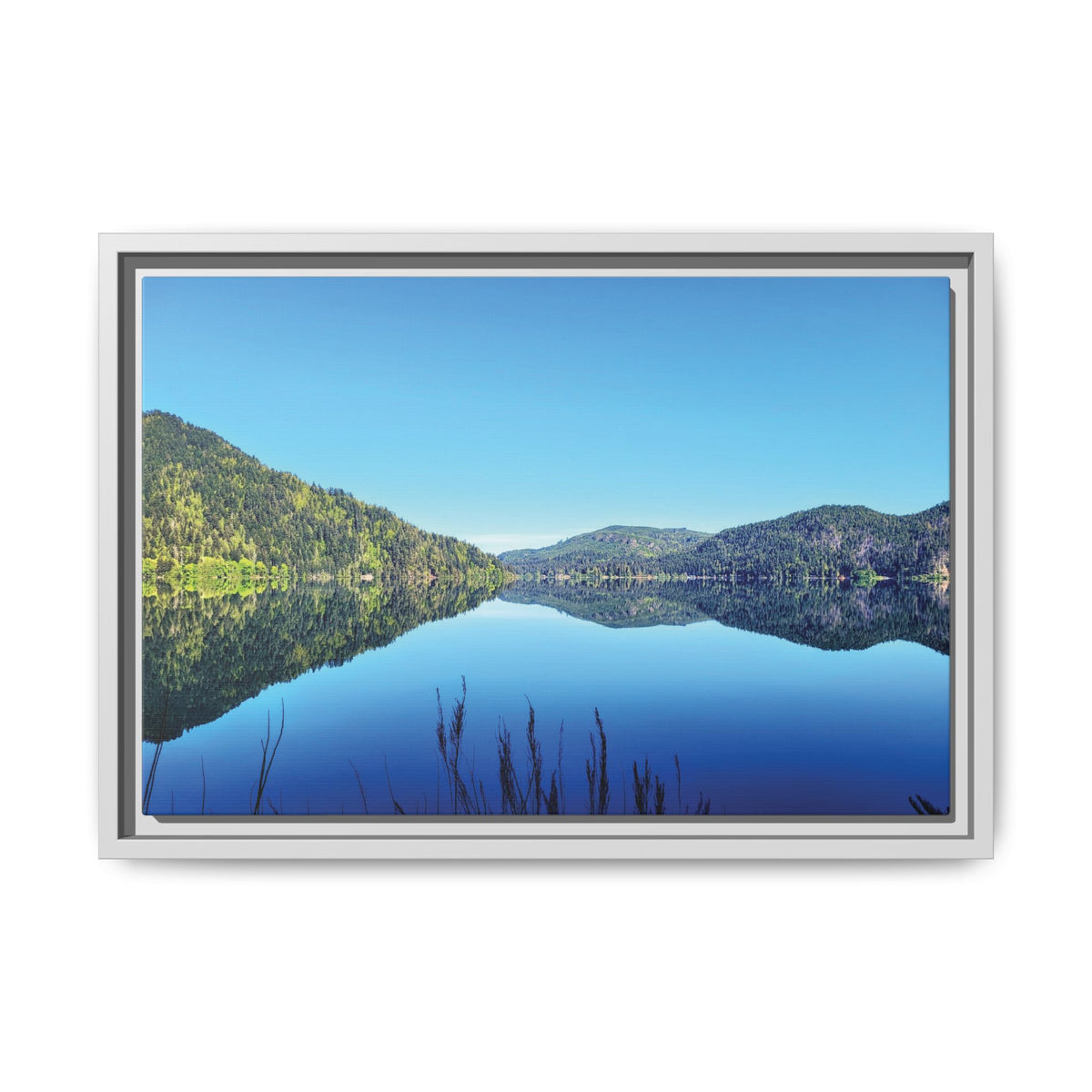 Lake Crescent Reflections | Framed Matte Canvas