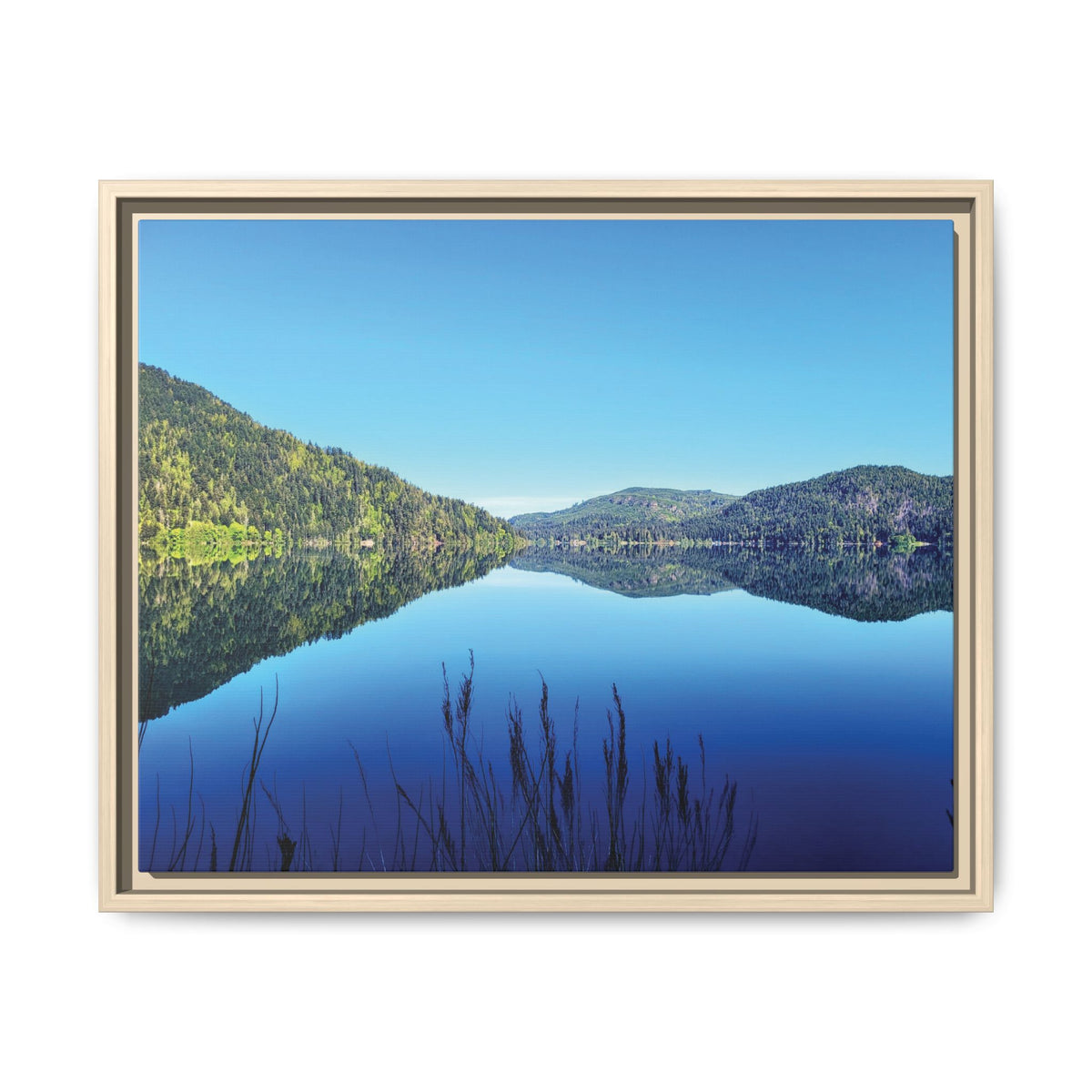 Lake Crescent Reflections | Framed Matte Canvas