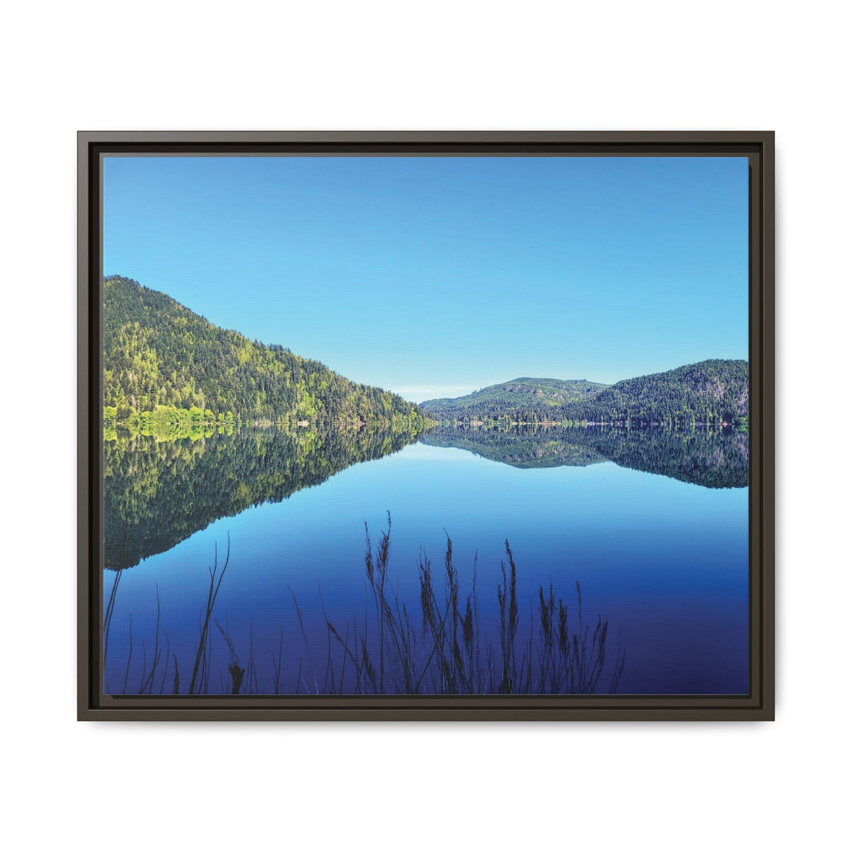 Lake Crescent Reflections | Framed Matte Canvas