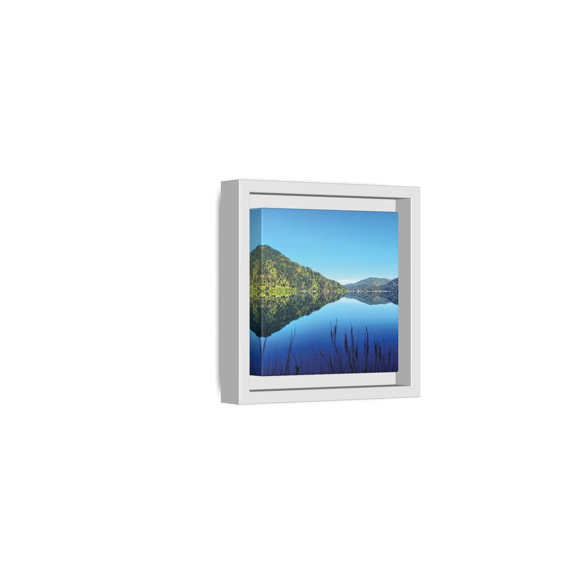 Lake Crescent Reflections | Framed Matte Canvas