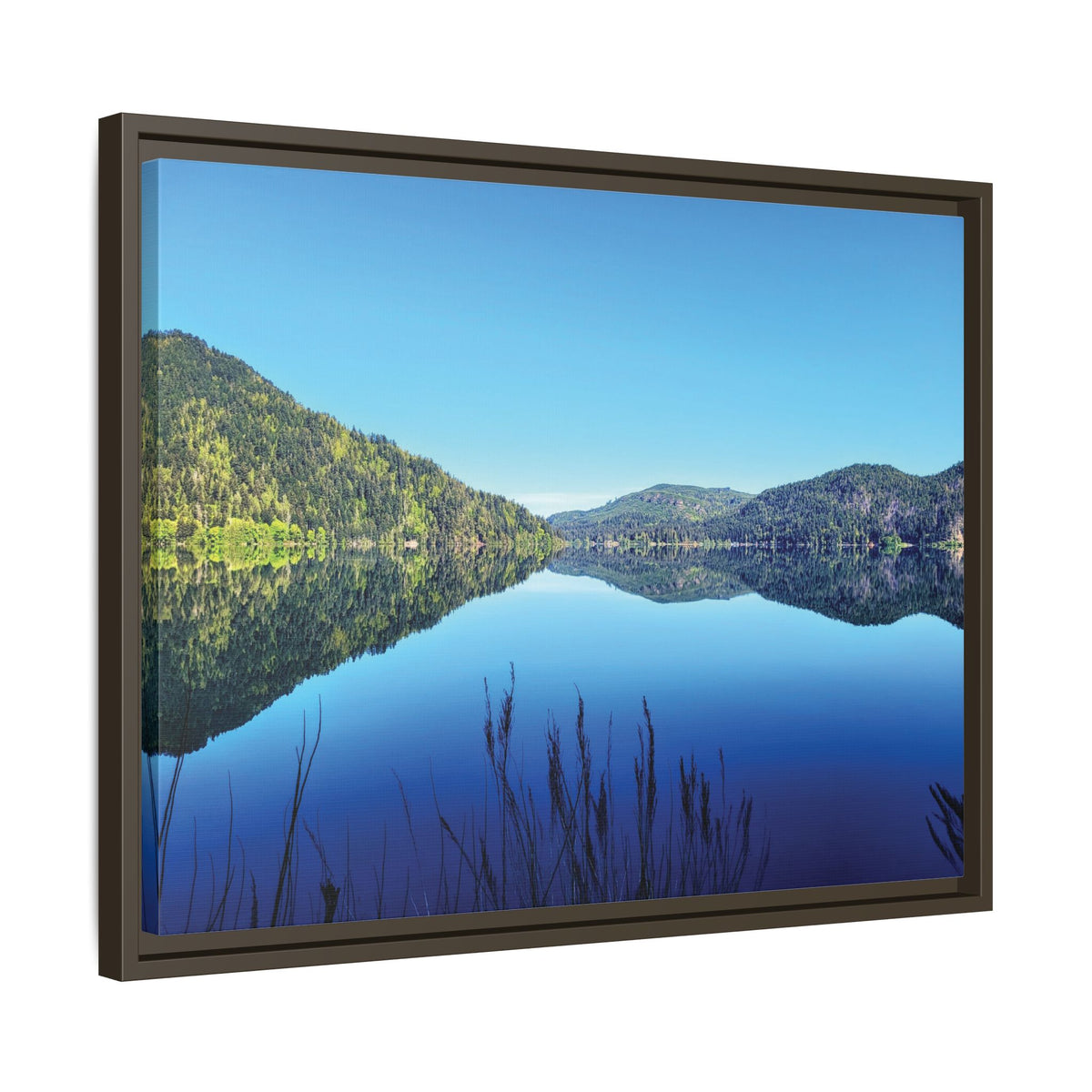 Lake Crescent Reflections | Framed Matte Canvas