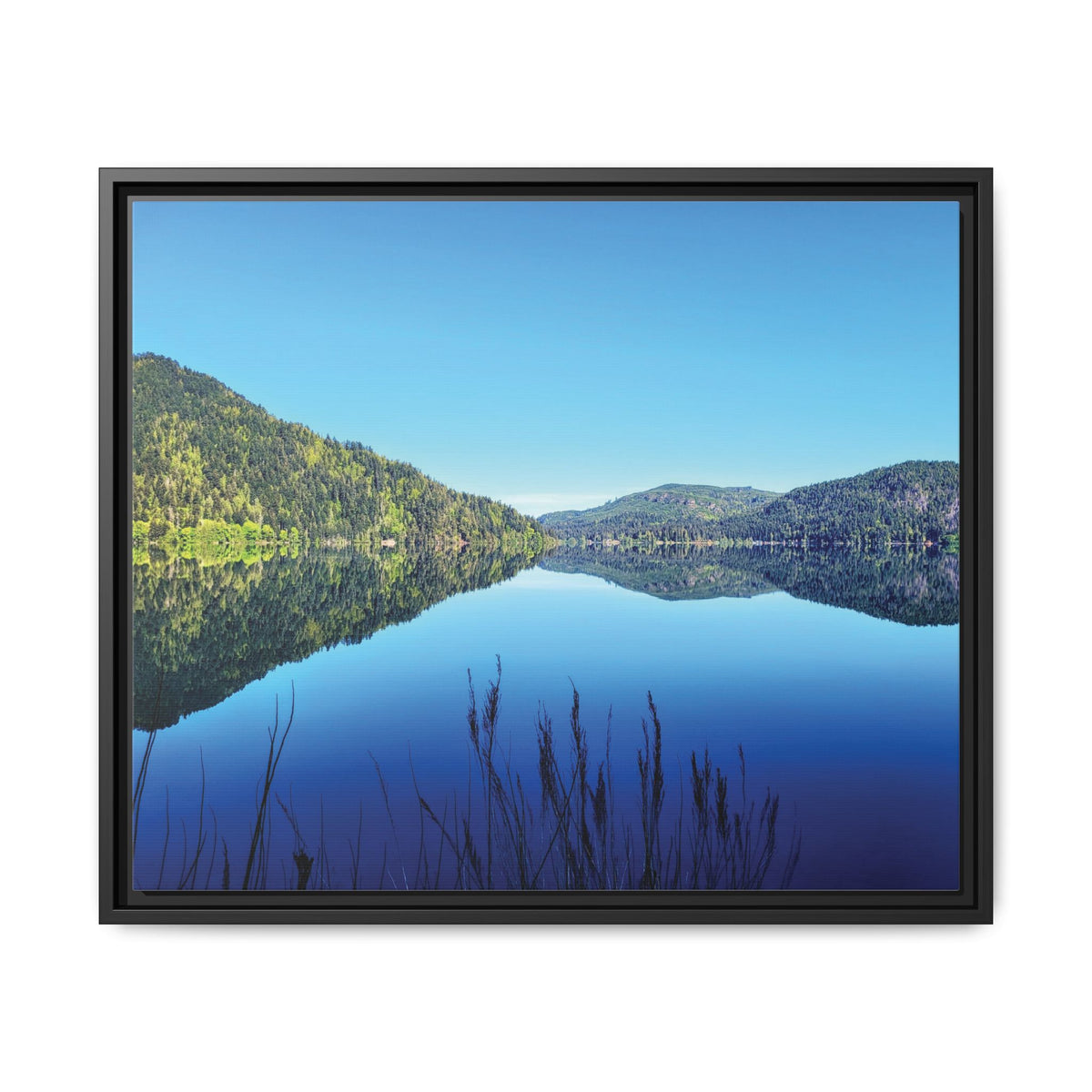 Lake Crescent Reflections | Framed Matte Canvas