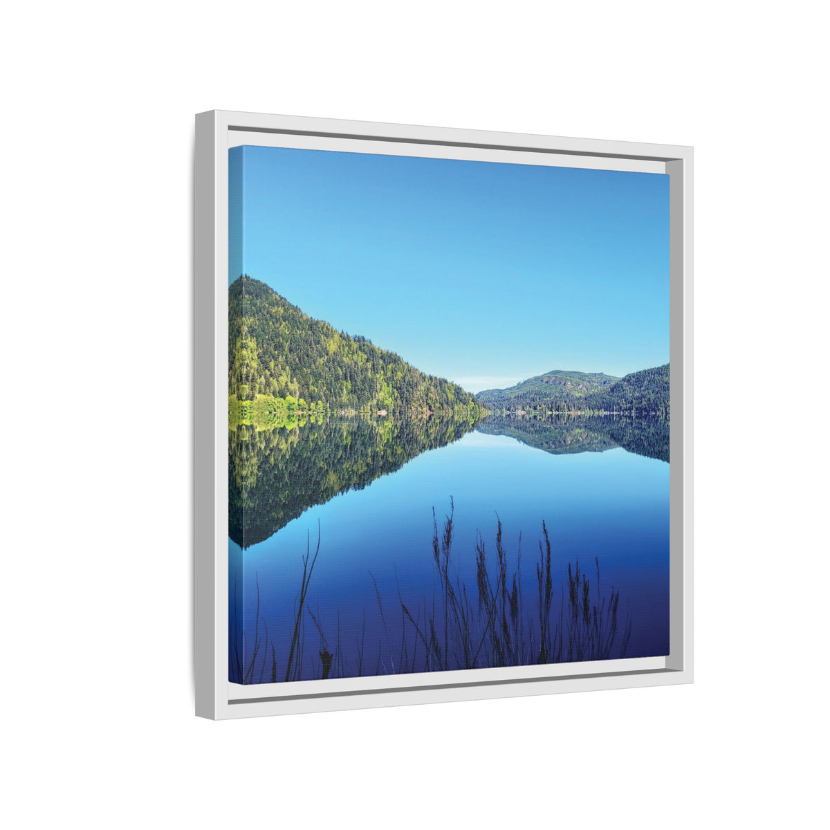 Lake Crescent Reflections | Framed Matte Canvas