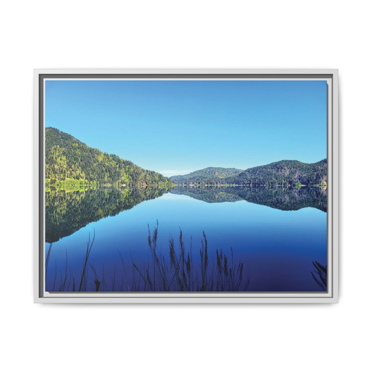Lake Crescent Reflections | Framed Matte Canvas
