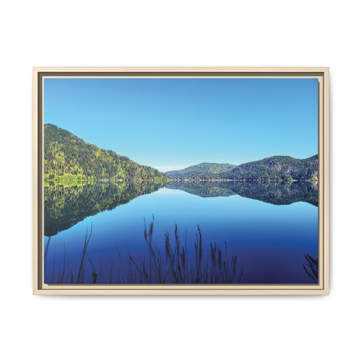 Lake Crescent Reflections | Framed Matte Canvas