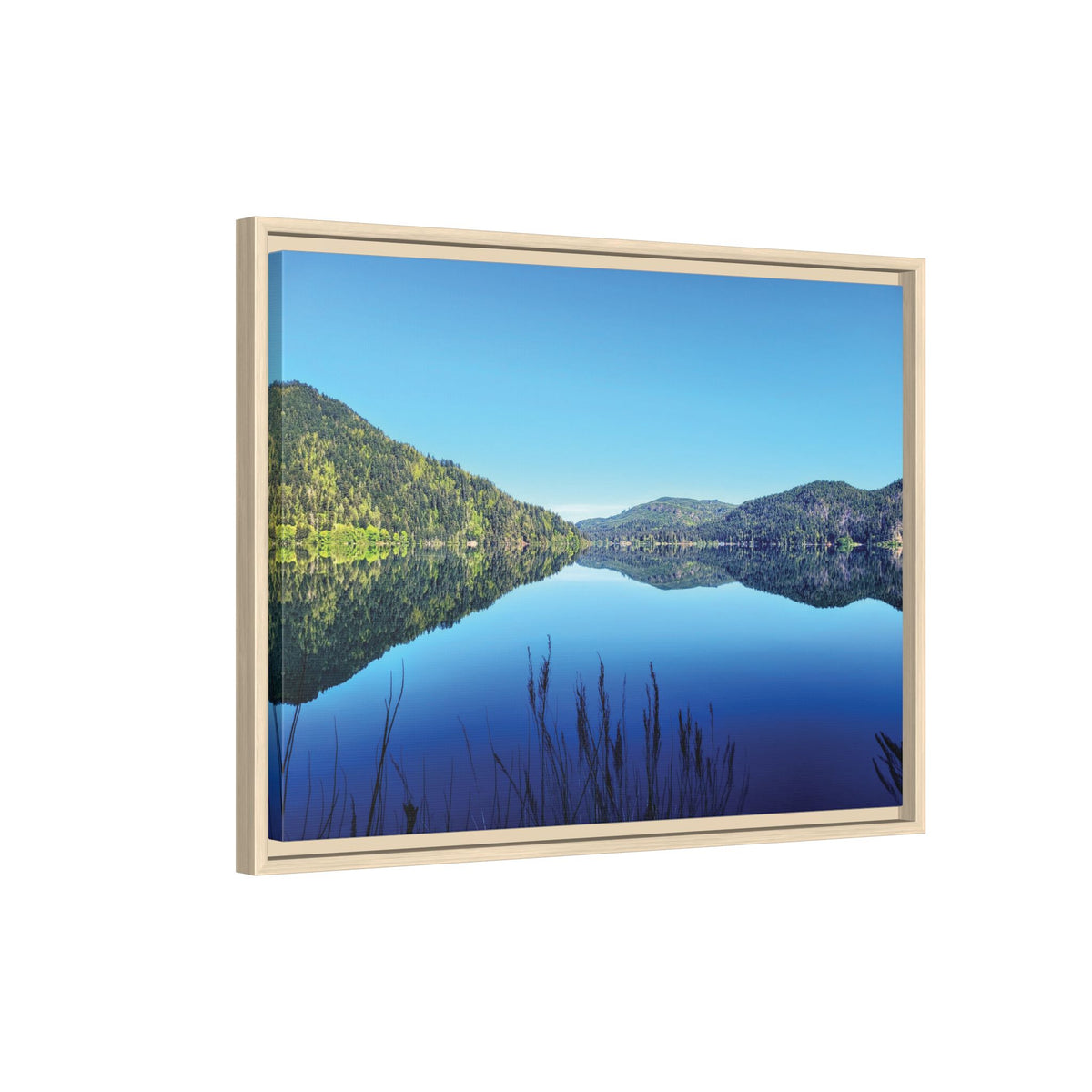 Lake Crescent Reflections | Framed Matte Canvas
