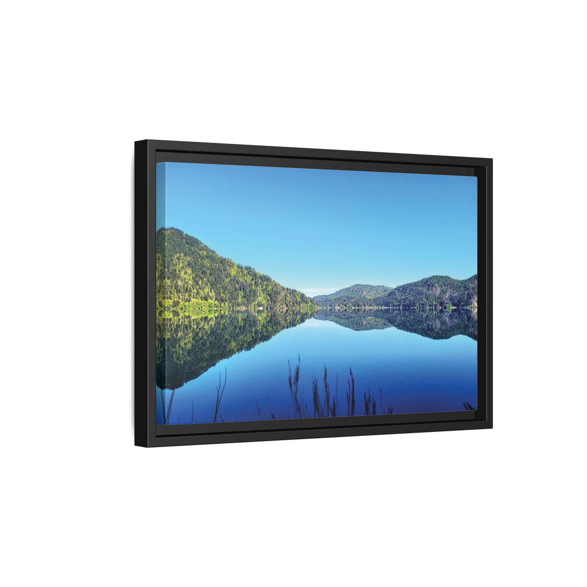 Lake Crescent Reflections | Framed Matte Canvas