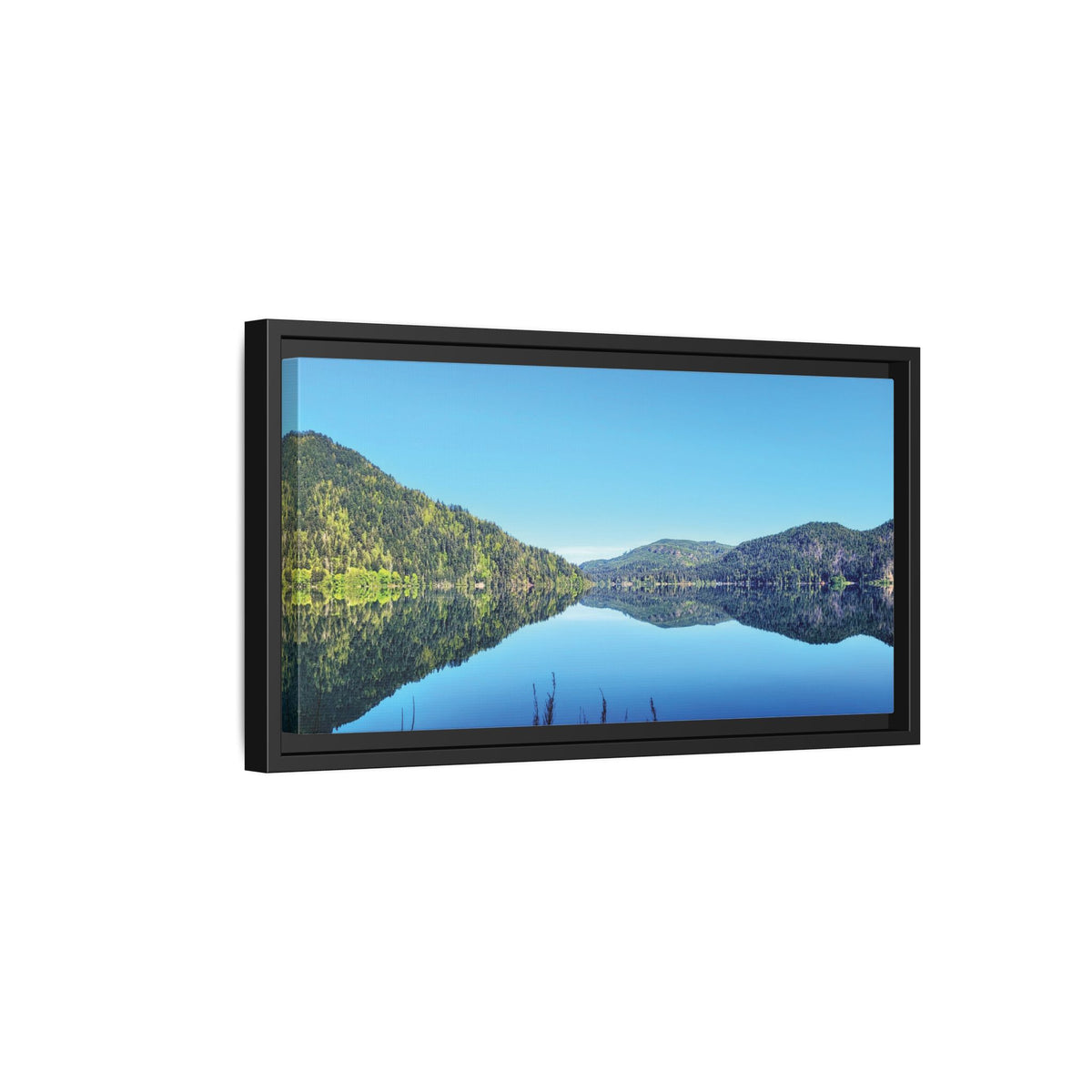 Lake Crescent Reflections | Framed Matte Canvas