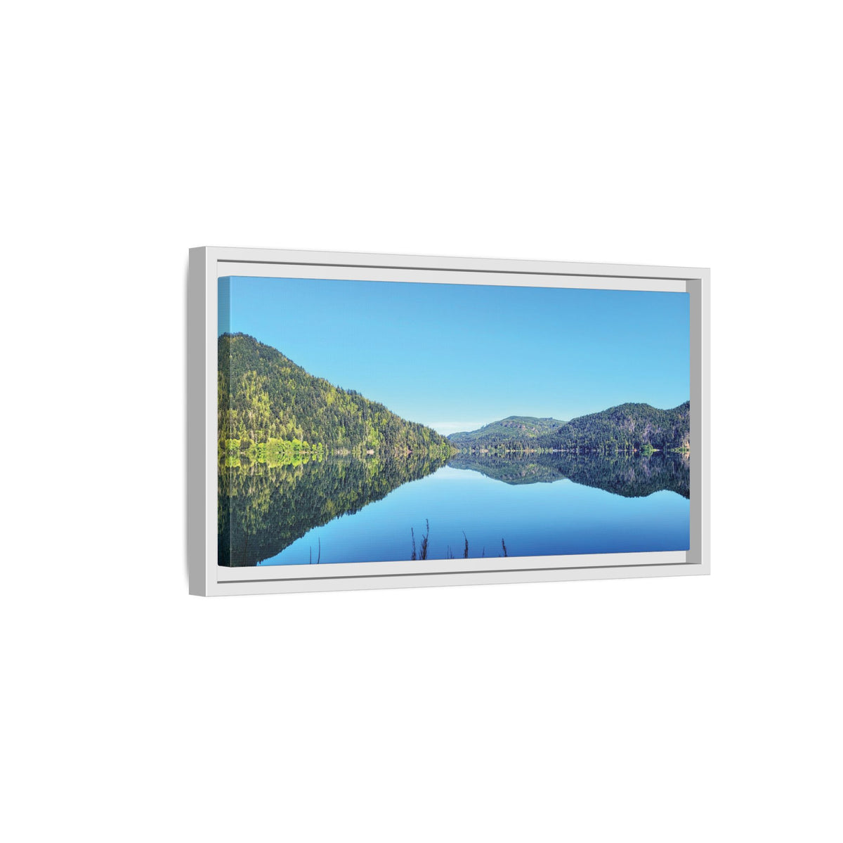 Lake Crescent Reflections | Framed Matte Canvas