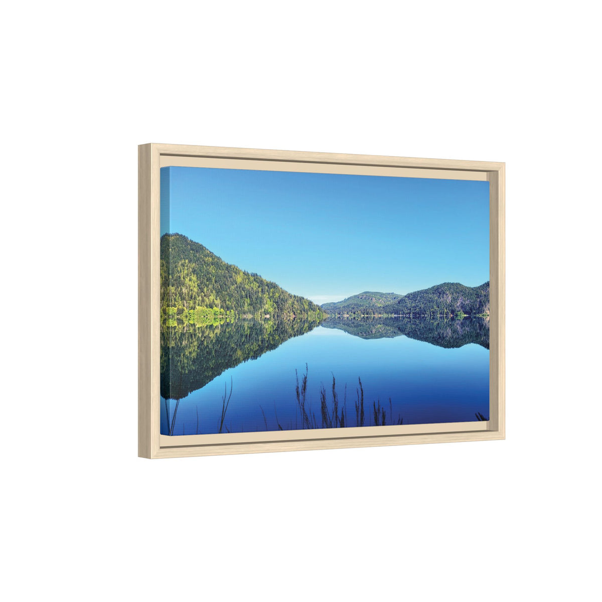 Lake Crescent Reflections | Framed Matte Canvas