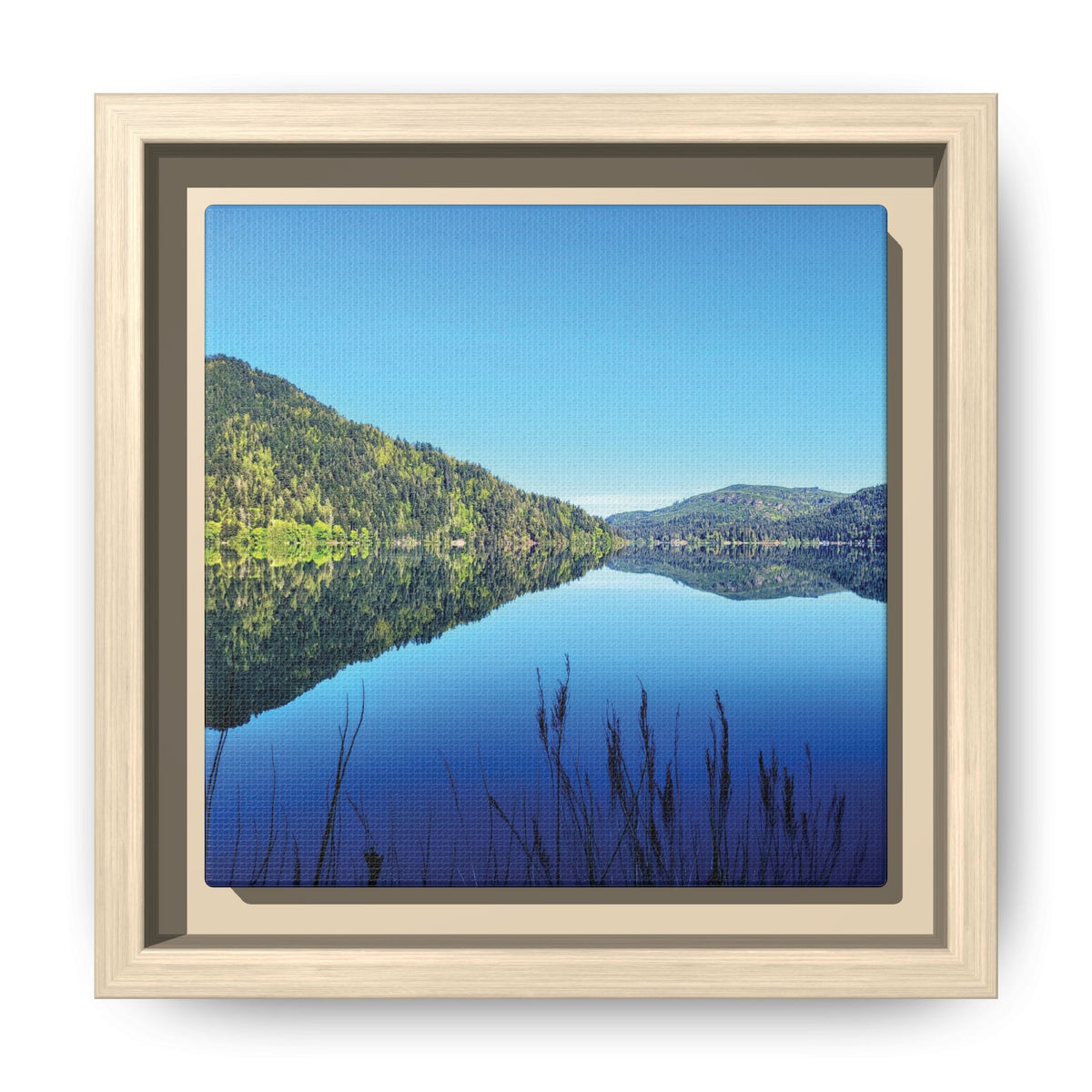 Lake Crescent Reflections | Framed Matte Canvas
