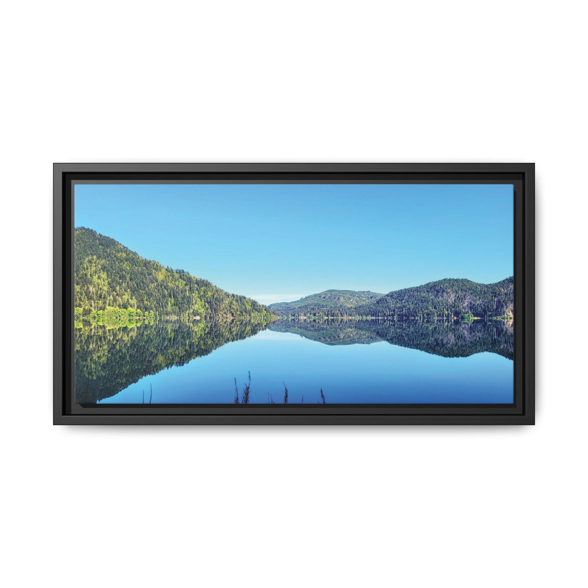Lake Crescent Reflections | Framed Matte Canvas