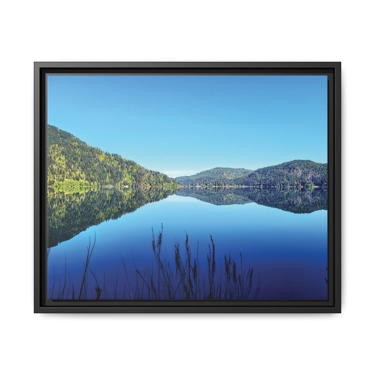 Lake Crescent Reflections | Framed Matte Canvas