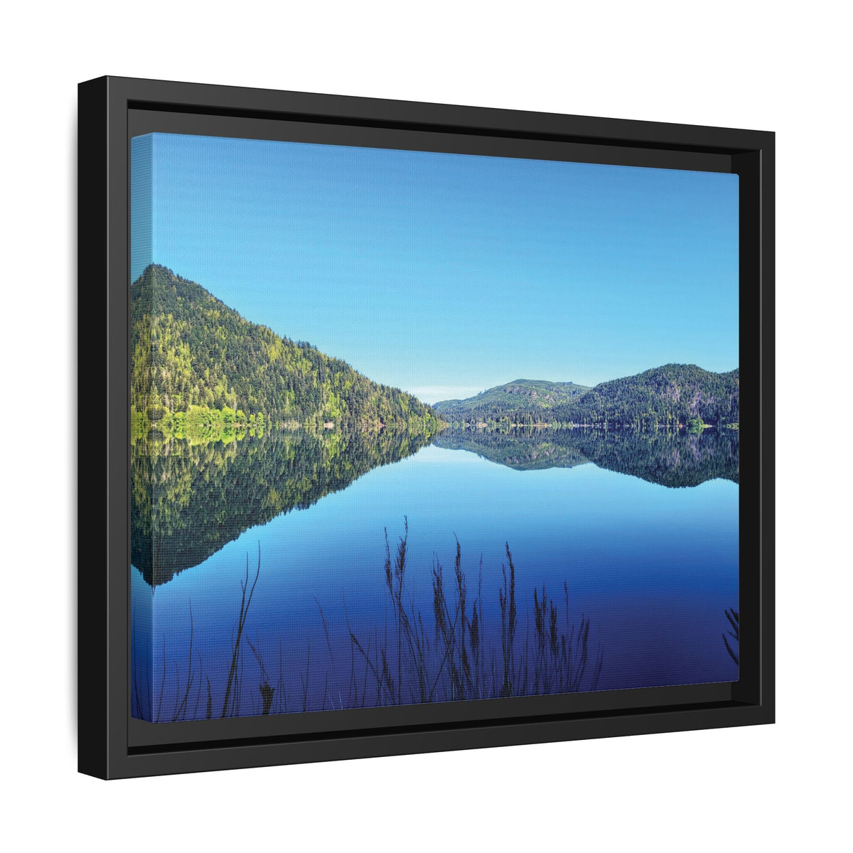 Lake Crescent Reflections | Framed Matte Canvas