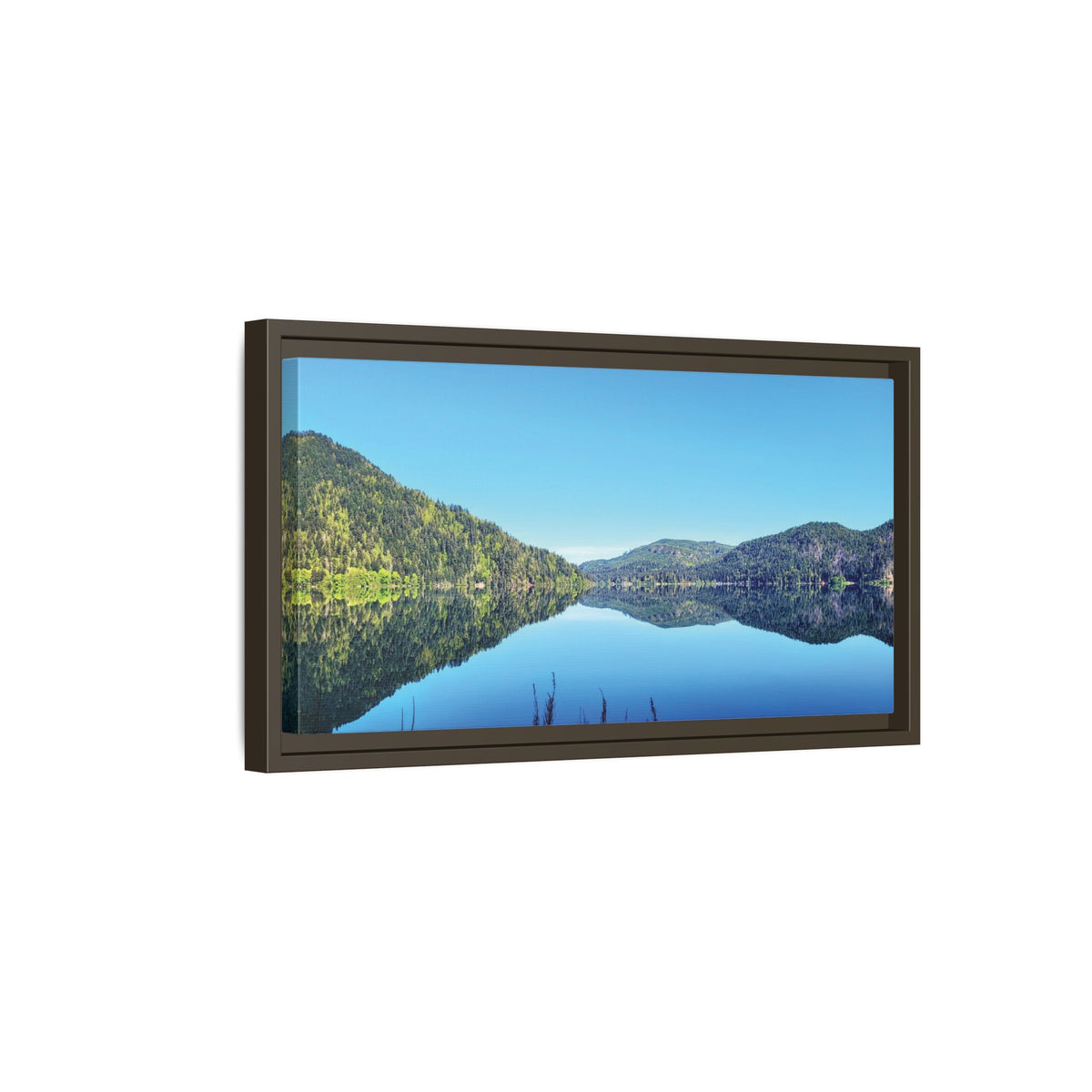 Lake Crescent Reflections | Framed Matte Canvas
