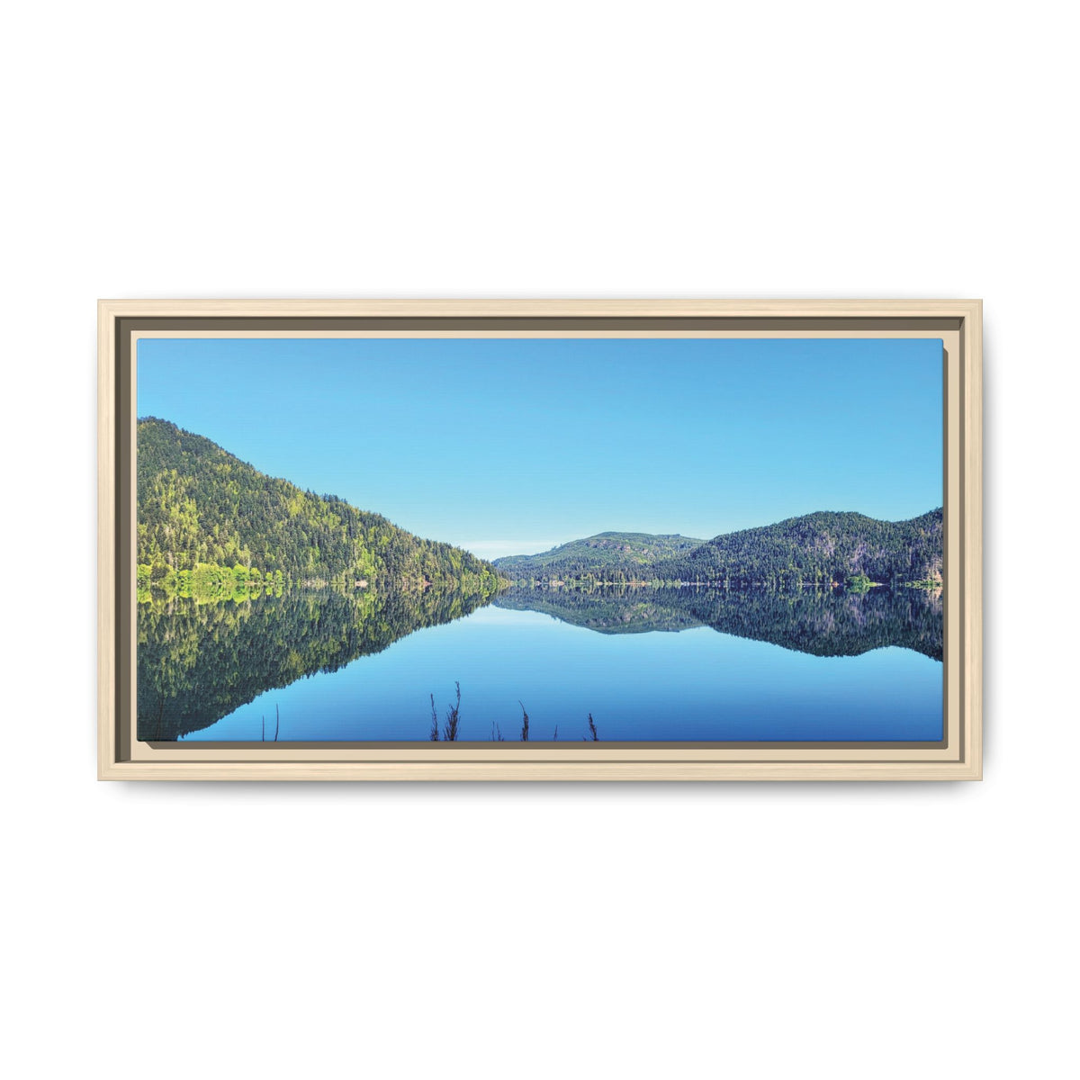 Lake Crescent Reflections | Framed Matte Canvas