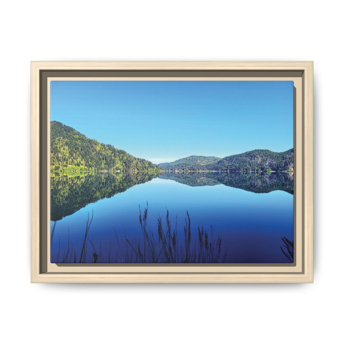 Lake Crescent Reflections | Framed Matte Canvas