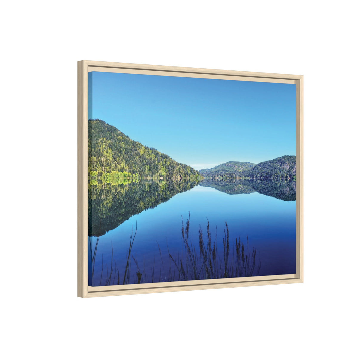 Lake Crescent Reflections | Framed Matte Canvas