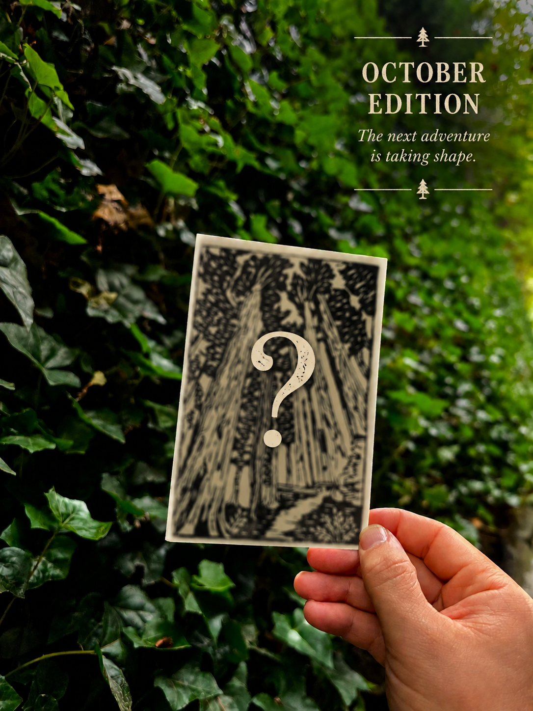 October edition teaser for The Emerald Miles Mail Club, featuring a blurred hand-carved forest linocut print held outdoors against green foliage with a question mark overlay.